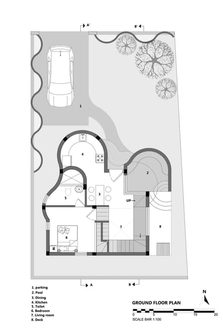 House of Dancing cactus