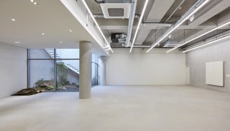 Cheongdam Carapace