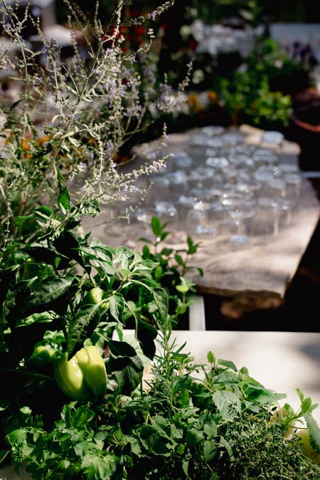 Live Kitchen — Francisca Sotto & Jeremy Morris