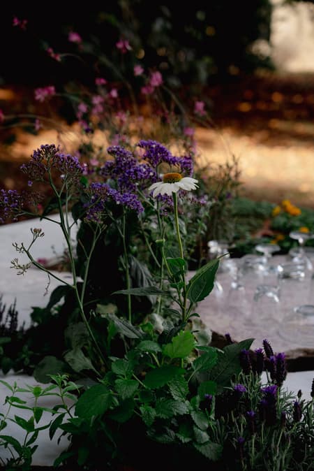 Live Kitchen — Francisca Sotto & Jeremy Morris