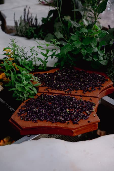 Live Kitchen — Francisca Sotto & Jeremy Morris