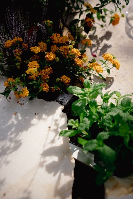 Live Kitchen — Francisca Sotto & Jeremy Morris