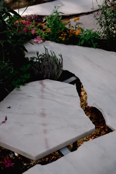 Live Kitchen — Francisca Sotto & Jeremy Morris