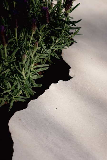 Live Kitchen — Francisca Sotto & Jeremy Morris