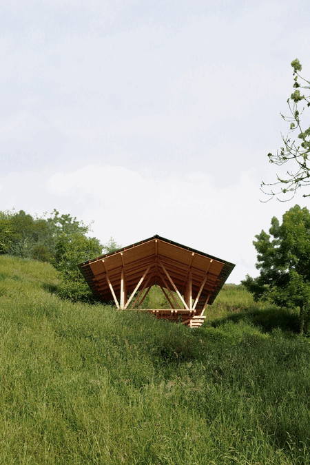 Taller Agropoetico - Foresta Collective