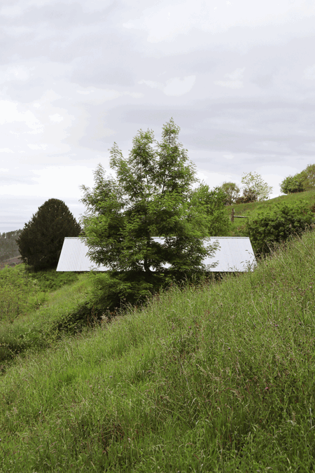 Taller Agropoetico - Foresta Collective