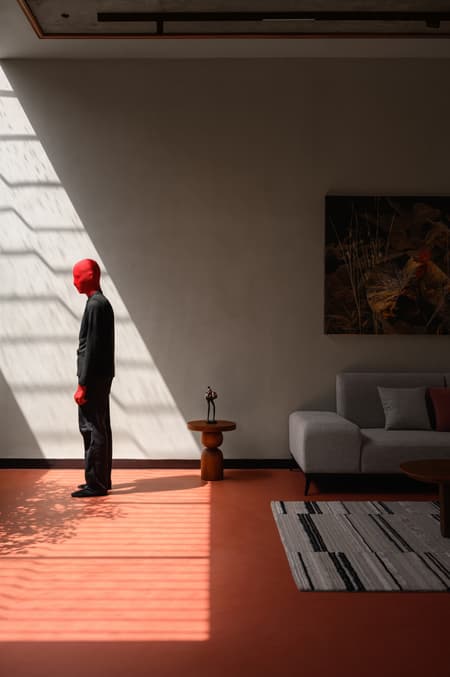 MRIYA - the Red House