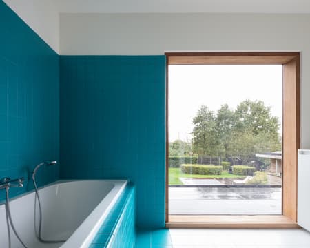 House and Veterinary Practice VD-B