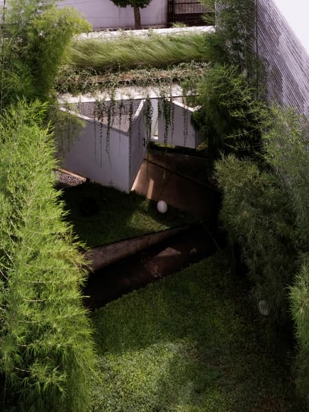 Folded Rooms Garden