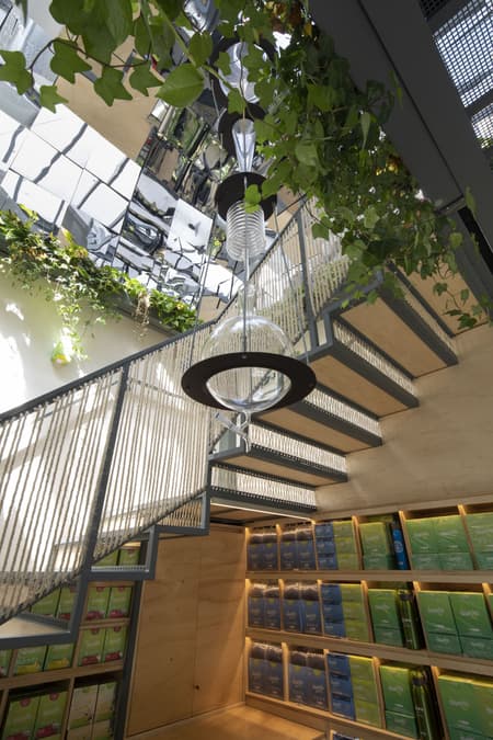 Desinchá Concept Store