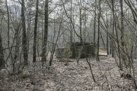 Secret Forest Tree Pavilion