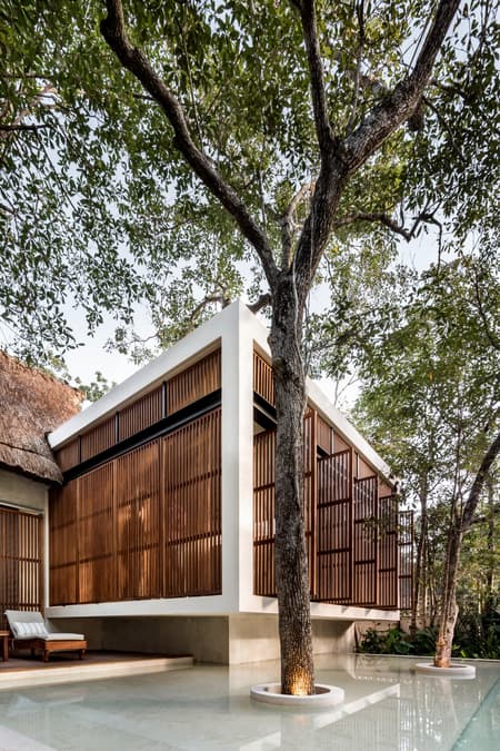Jungle Keva