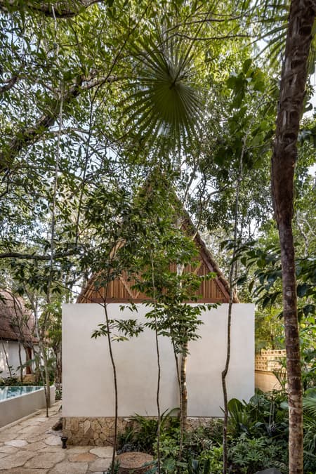 Jungle Keva