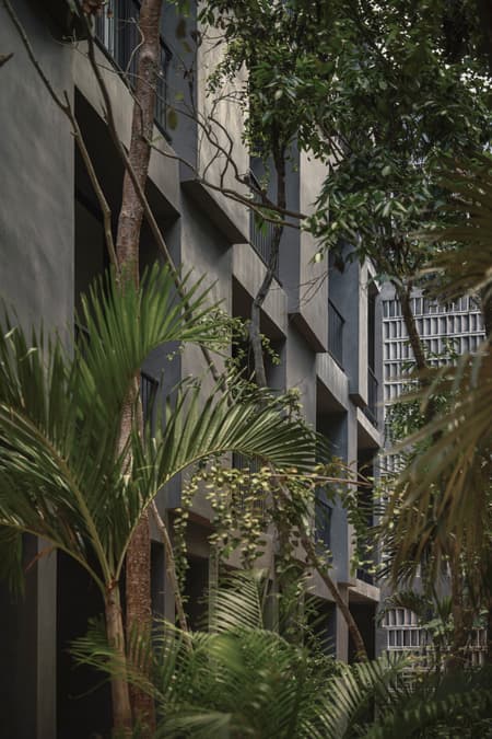 Casa Selva - Housing for Hospitality Workers
