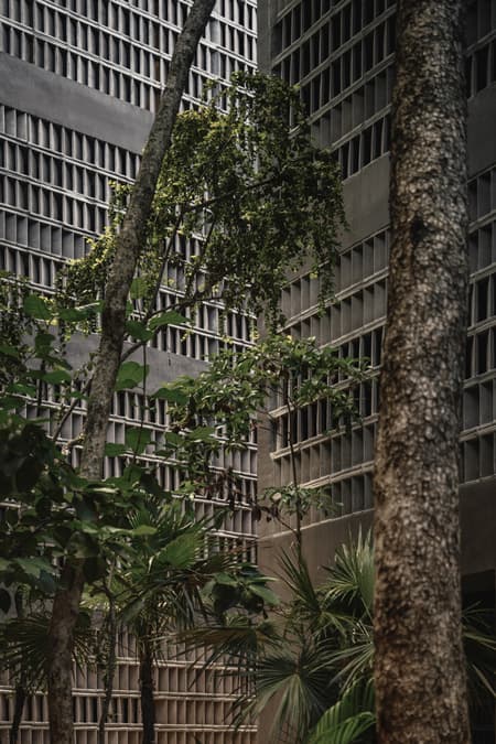 Casa Selva - Housing for Hospitality Workers