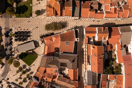 Montijo Municipal Gallery's Garden