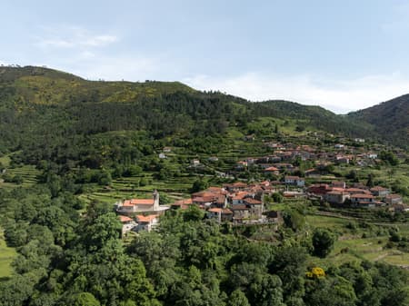 The Sister Houses