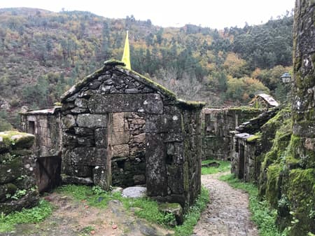 The Sister Houses