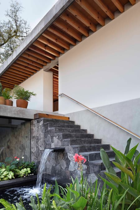 Hummingbird House