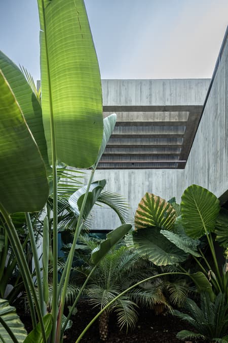 House Colinas