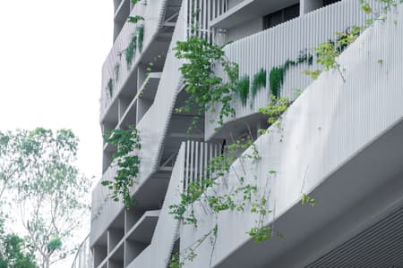 Wuzhou Elementary School