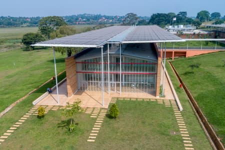 Children's Surgical Hospital