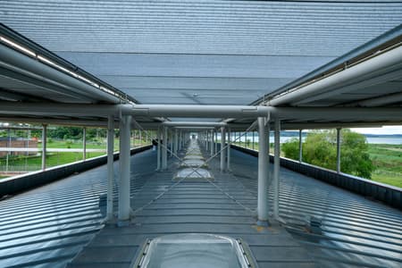 Children's Surgical Hospital