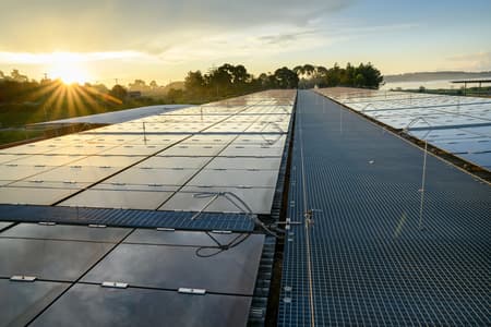 Children's Surgical Hospital