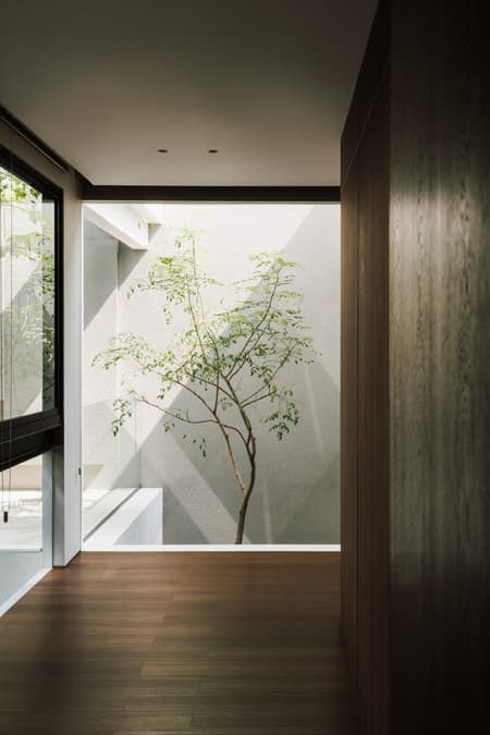 DK.52 HOUSE