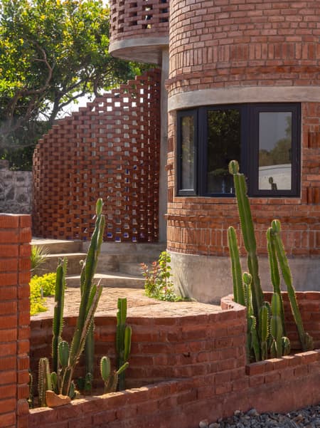 House of Dancing cactus