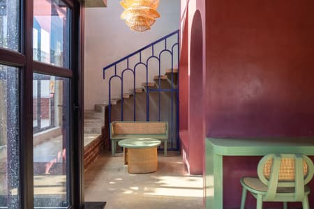 House of Dancing cactus