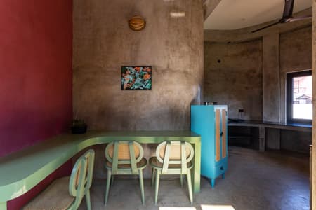 House of Dancing cactus