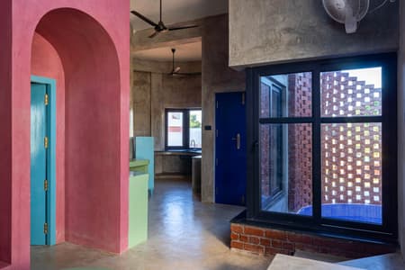 House of Dancing cactus