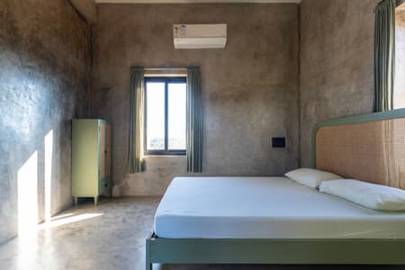 House of Dancing cactus