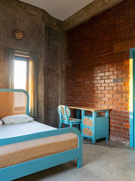 House of Dancing cactus