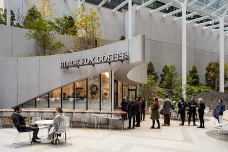 550 Madison Avenue Garden