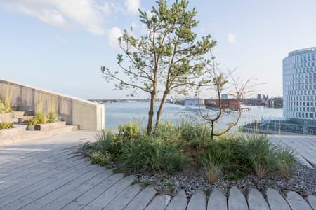 Piranesian HQ and Park