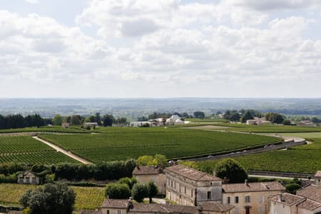 Winery Bélair-Monange
