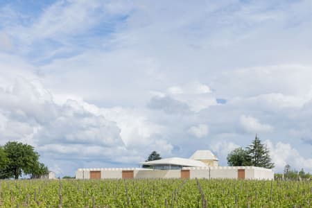 Winery Bélair-Monange