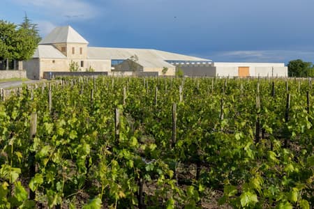 Winery Bélair-Monange