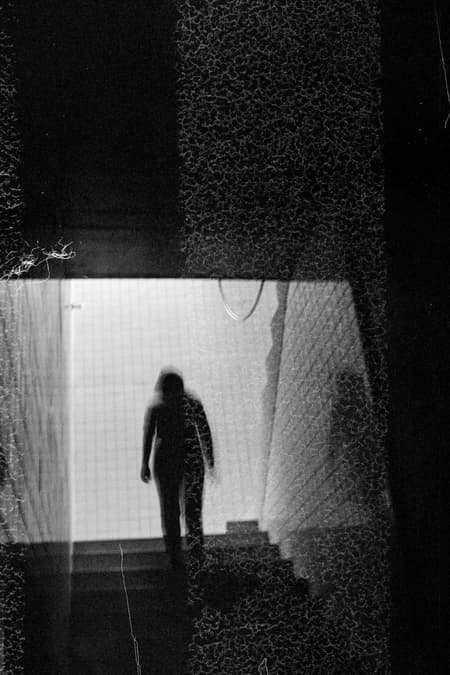 Housing with Pink Chimneys