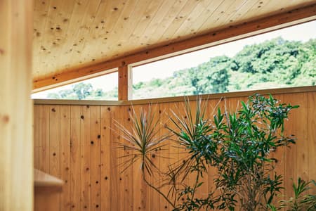 YAWN YARD Kouri Island