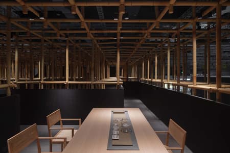 The Structural Field