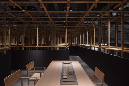 The Structural Field