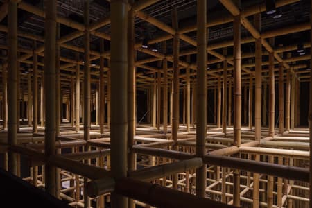 The Structural Field