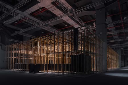 The Structural Field