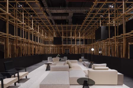 The Structural Field