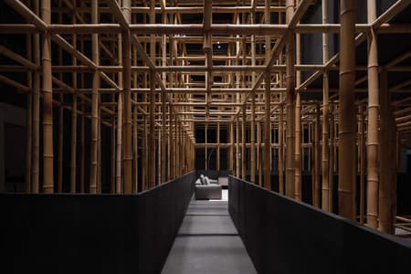 The Structural Field