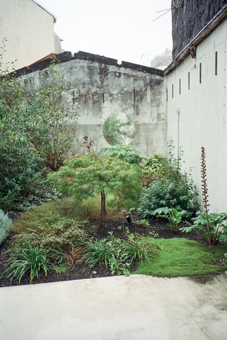 Oasis under a Building
