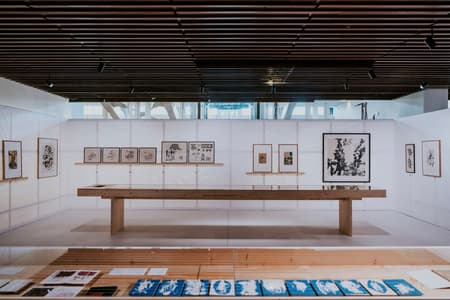 Centro de Arte Moderna Gulbenkian